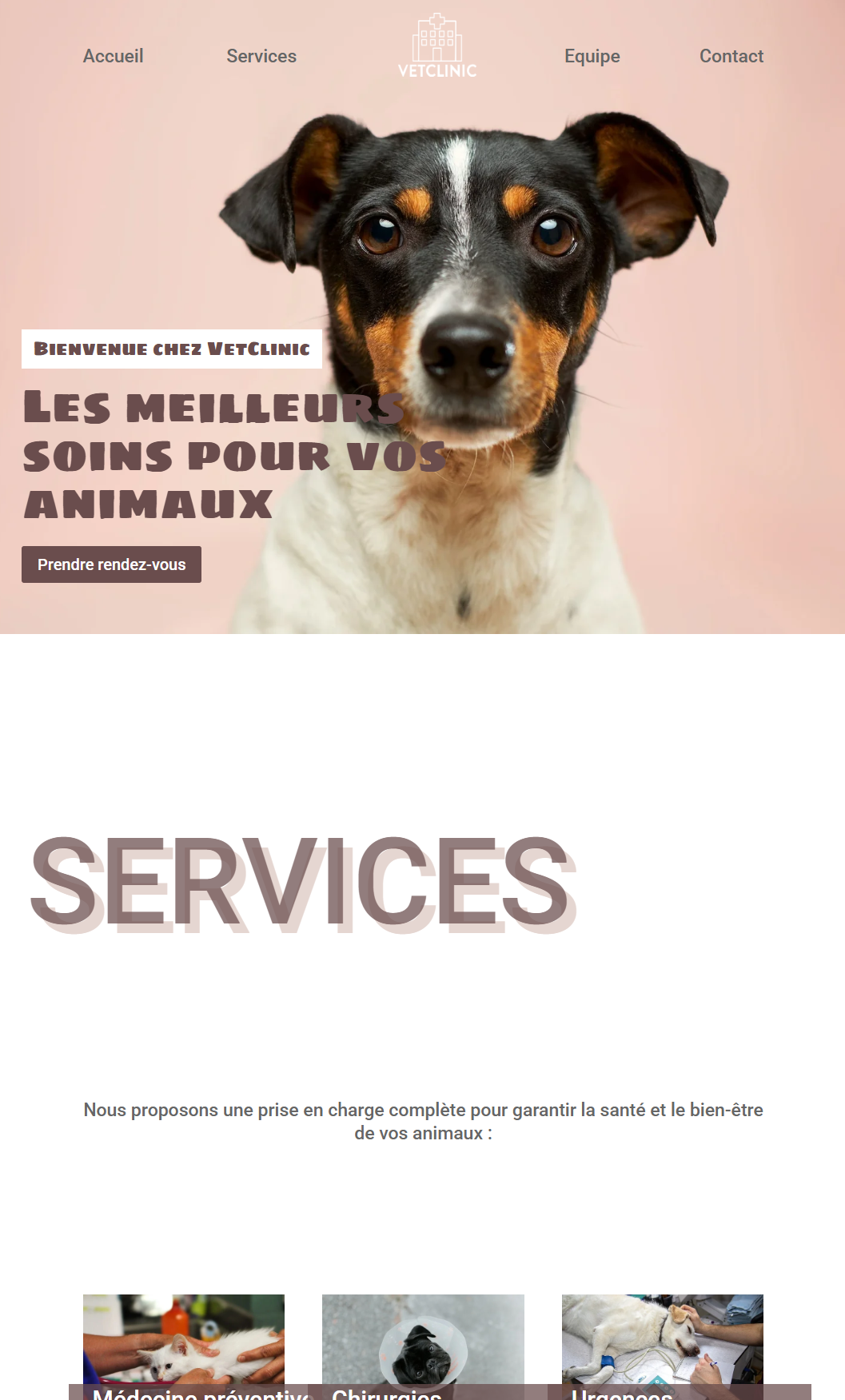 Présentation VetClinic